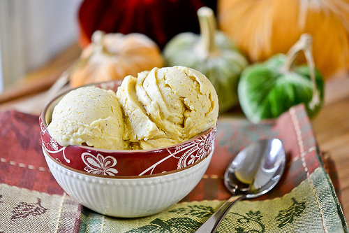 Pumpkin Frozen Yogurt