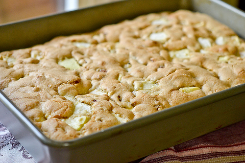 Fresh Apple Cake-8
