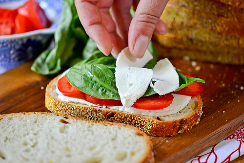 Grilled Margherita Sandwiches-5