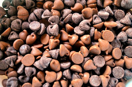 Chewy Chocolate Chip Cookies