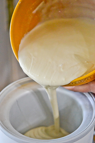 Blackberry Wine Ice Cream-7