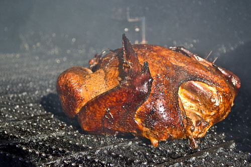 Smoked Turkey & Dumplings 15