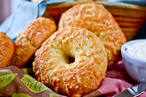 Asiago Bagels 6