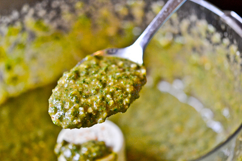 Spaghetti with Pesto & Shrimp 10