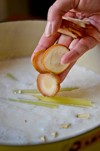 Thai Coconut Chicken Soup-5