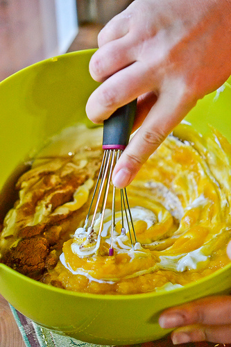 Pumpkin Frozen Yogurt-4