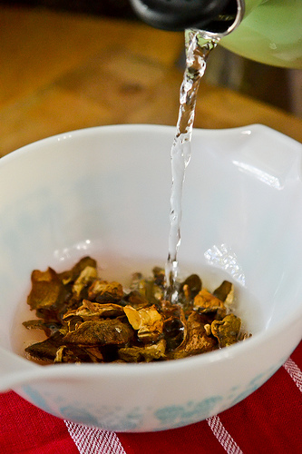 Mushroom Bolognese-2