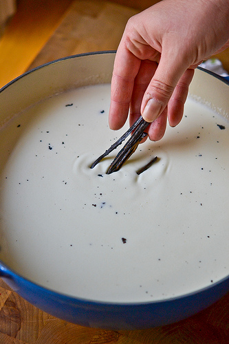 Vanilla Bean Rice Pudding-6